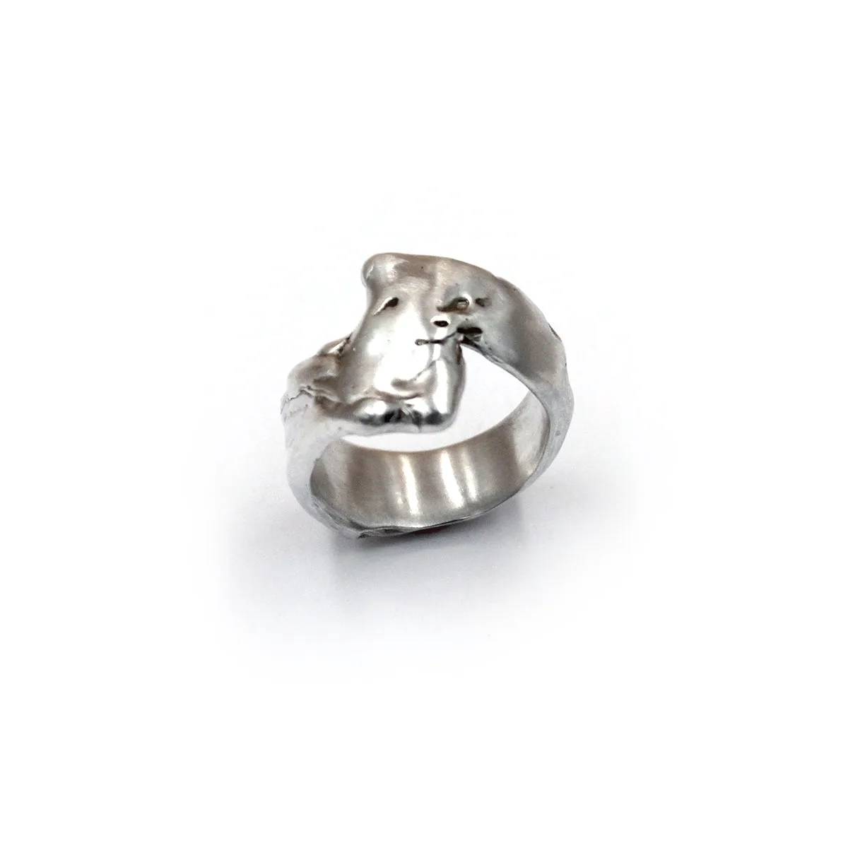 Fossil band ring